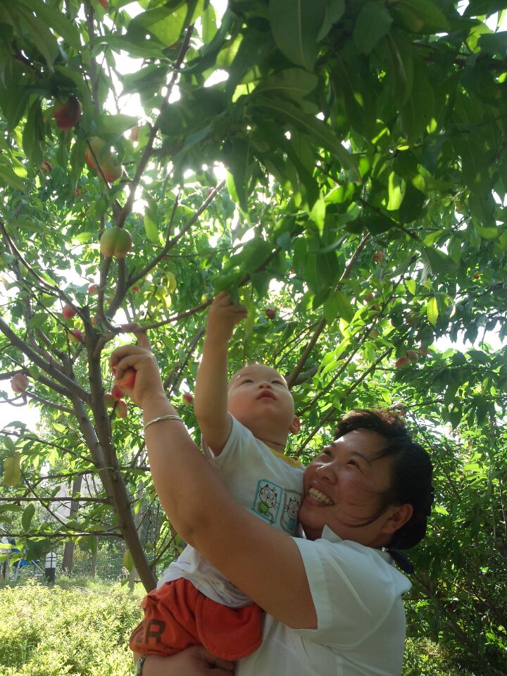 ��Ո�I��һ���ժС�^�������