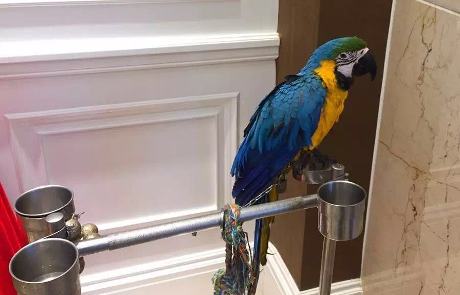 ʷ�����ȵĄ���@���ȷ��˽�һ�f�S������