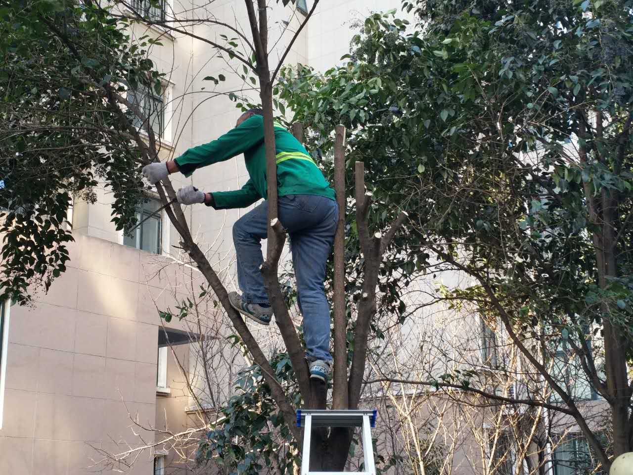 �@�^�G�����޼����I���������Qٝ