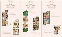 296�O�ńe��