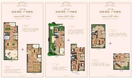 340�O�pƴ�e��